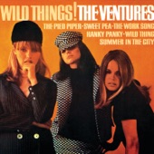 The Ventures - Wild and Wooly