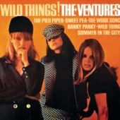 The Ventures - Fuzzy And Wild