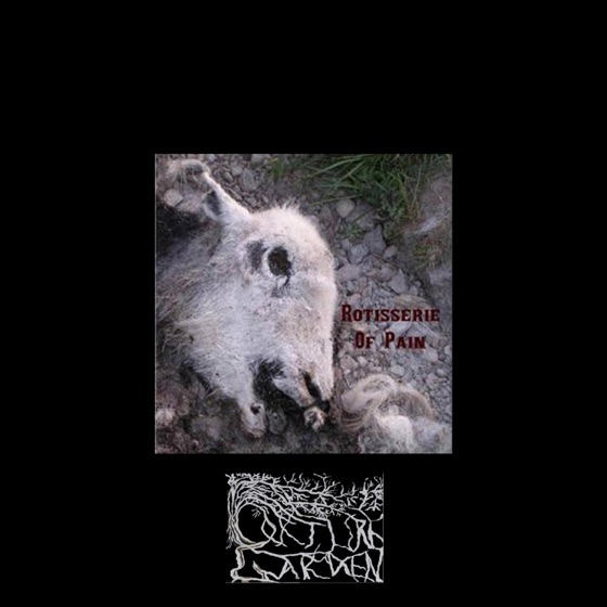 Cover artwork for Phantasmagoria
