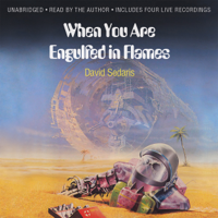 David Sedaris - When You Are Engulfed in Flames artwork