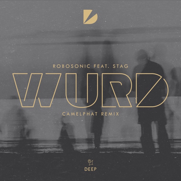 Wurd (feat. STAG) [Camelphat Remix] - Single - Robosonic