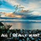 All I Really Want (Eiffel 65 Remix) artwork