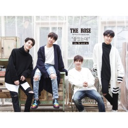 The Rose - Like We Used To