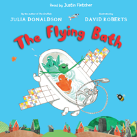 Julia Donaldson - The Flying Bath artwork