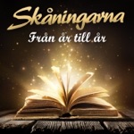 Från År Till År