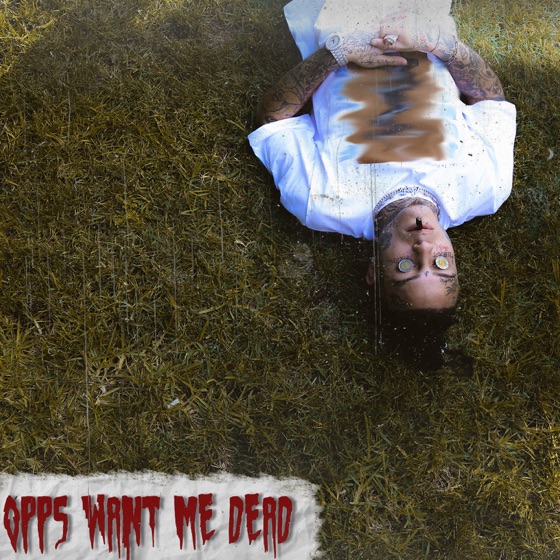 Cover artwork for Opps Want Me Dead