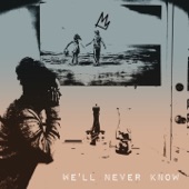 We'll Never Know artwork
