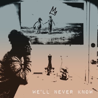 Well Never Know Single Well Never Know Single