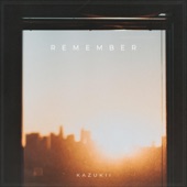 Remember artwork