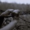 Degrees of Freedom - Total lyrics