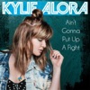 Ain't Gonna Put up a Fight - Single