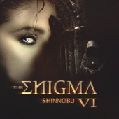 The Enigma VI artwork