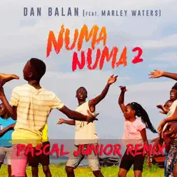 Numa Numa 2 (feat. Marley Waters) [Pascal Junior Remix] - Single - Dan Balan