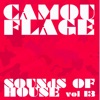 Camouflage Sounds of House, Vol.13, 2018