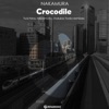 Crocodile - EP