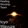 Icyo Wavuze