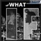 What If (feat. Mic) - Fresco Trey lyrics