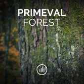 Primeval Forest artwork