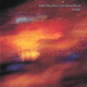 Trashcan Sinatras - Obscurity Knocks