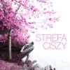 Strefa Ciszy, 2018