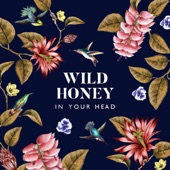 Wild Honey - Pull It Together