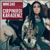 Çırpınırdı Karadeniz artwork