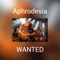Aphrodesia - Wanted lyrics