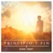 Principio Y Fin (feat. Carlos PenaVega) - Evan Craft lyrics