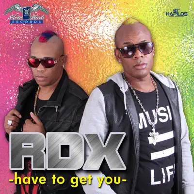 Have to Get You - Single - RDX