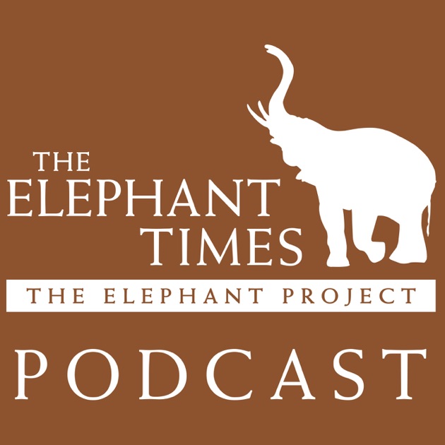 Магазин Elefant. Project zo: Project Elephant. Elephants time