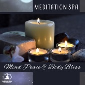 Meditation Spa: Mind Peace & Body Bliss - Relaxing Zen Atmosphere, Music for Yoga, Massage Therapy & Healing artwork