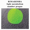 Light Metabolism Number Prague - Single