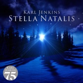 Karl Jenkins - Jenkins: Stella Natalis - VIII. From Our Earth