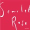 Silence And Solitude (Homage To Ryuichi Sakamoto) - gilmORosa lyrics