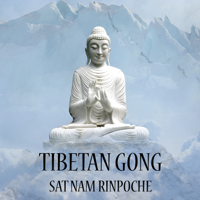 Sat Nam Rinpoche - Tibetan Gong artwork