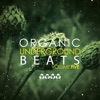 Organic Underground Beats, Vol. 5, 2015