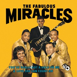 The Miracles - You've Really Got a Hold On Me