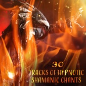 30 Tracks of Hypnotic Shamanic Chants: Healing Music for the Soul, Chakra Cleansing, Native American Drums, Relaxation & Meditation artwork