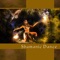 Shamanic Dance - Native Classical Sounds lyrics