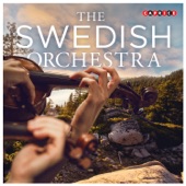 The Swedish Orchestra artwork