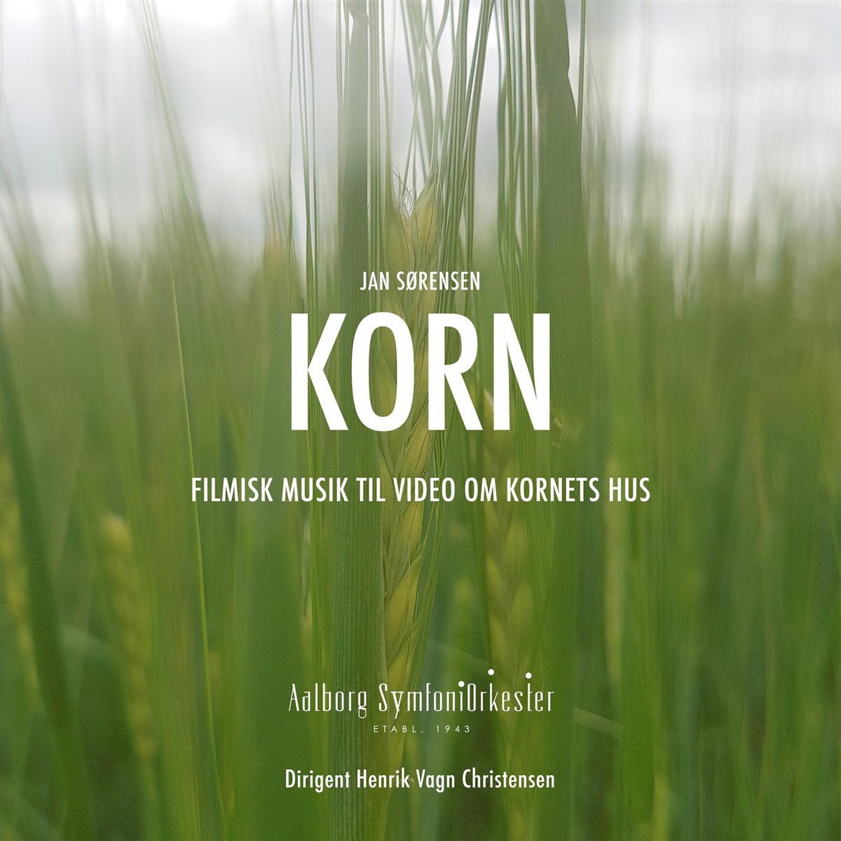 Korn single