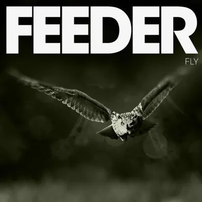 Fly - Single - Feeder