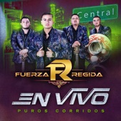 En Vivo Puros Corridos artwork