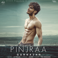 Gurnazar - Pinjraa artwork