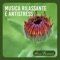 Rilassamento mentale - Anna Benessere lyrics