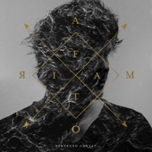 Amor Fati cover