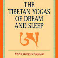 Tenzin Wangyal Rinpoche & Mark Dahlby - editor - The Tibetan Yogas of Dream and Sleep (Unabridged) artwork