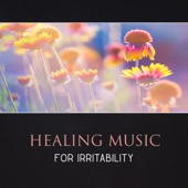 Healing Music for Irritability – Meditation for Stress Reduction, Mindfulness for Calming Down, Yoga Healing, Soothing Music, Deep Breathing, Cure Social Anxiety artwork