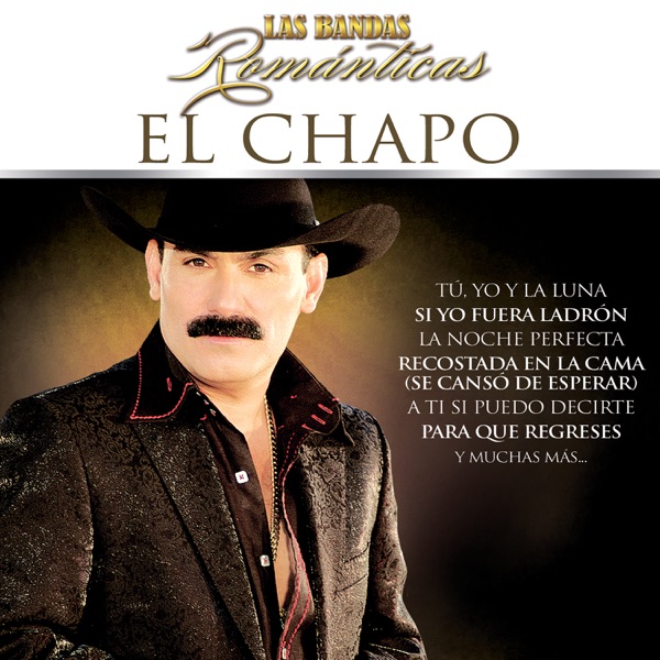 El Chapo De Sinaloa - Si Yo Fuera Ladrón
