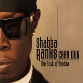 Caan Dun: The Best of Shabba artwork